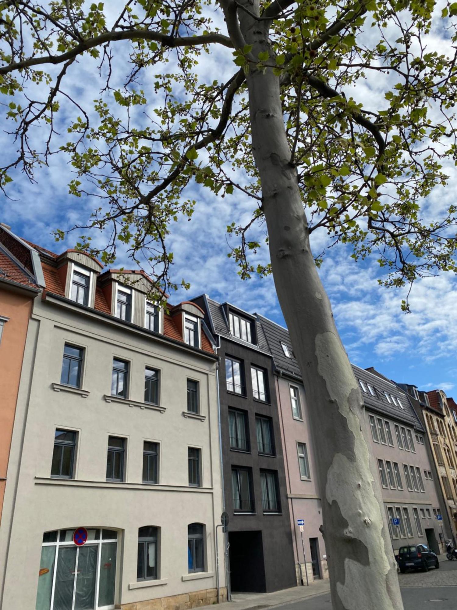 Eiwelhome - Stilvoll, Urban-Ruhig Schlafen, Bahnhofsnah, Balkon Erfurt Exterior foto